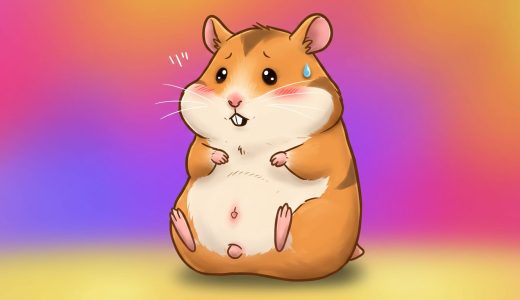 ハムスターのオス たまたま徹底解説！大きさ・腫れ・病気の見分け方から世話の時短テク