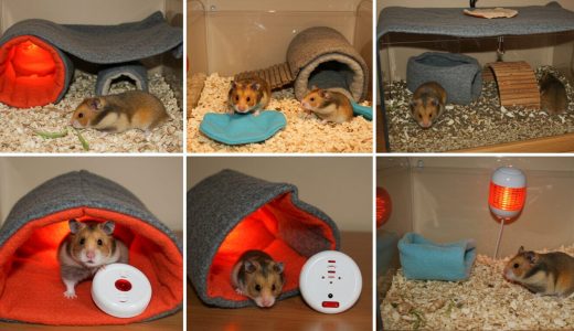 100均で完璧！ハムスター寒さ対策ガイド：防寒DIYから暖房まで徹底解説